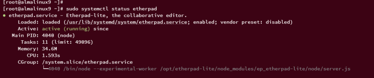 verificar el servicio etherpad