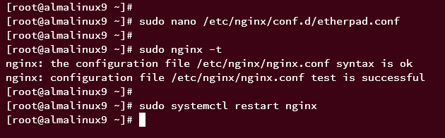 configurar nginx como proxy inverso