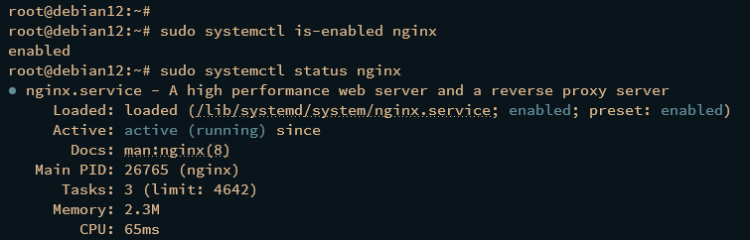 comprobar nginx