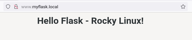 aplicación flask con proxy inverso nginx
