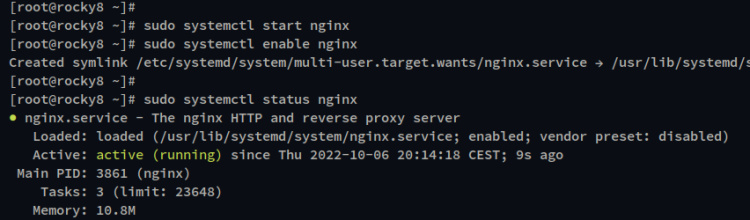 comprobar nginx