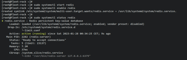 verificar redis