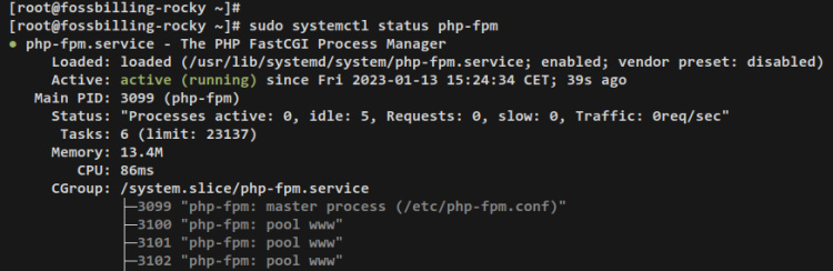 verificar php-fpm