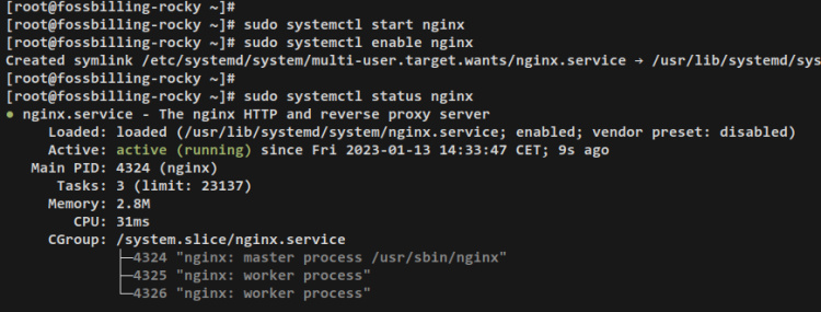 iniciar verificación nginx