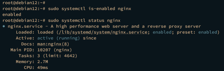 verificar nginx