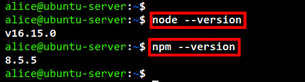 comprobar nodejs npm