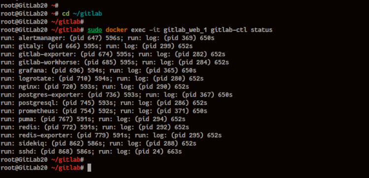 El contenedor Gitlab comprueba el estado de los servicios
