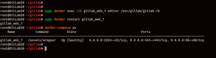 Configurar el contenedor GitLab