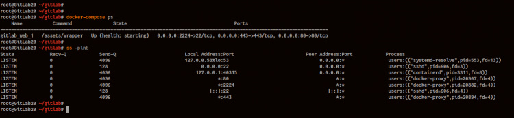 Comprobación del contenedor GitLab