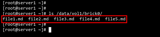 Comprueba el archivo del servidor1