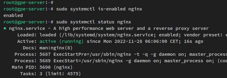verificar nginx