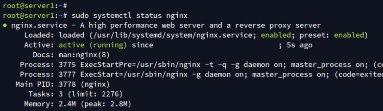 comprobar nginx