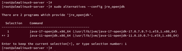 cambiar jre por defecto