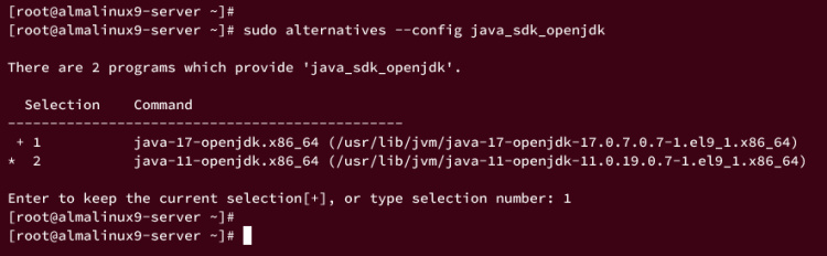 cambiar el jdk por defecto