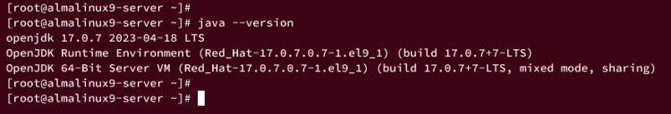 comprobando openjdk 17