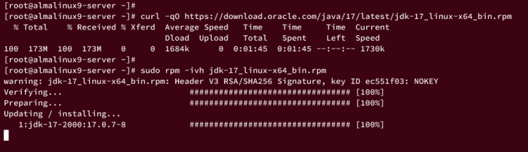 instalar oracle jdk 17
