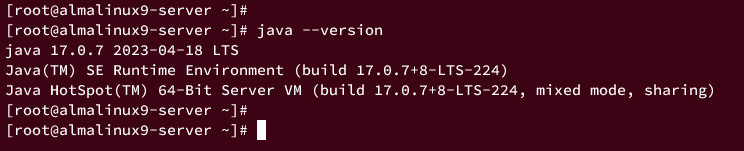 comprobando oracle jdk 17