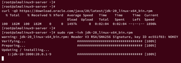 instalación de oracle jdk 20