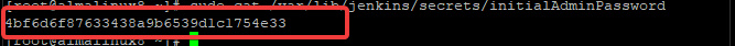 Acceder a la interfaz web de Jenkins