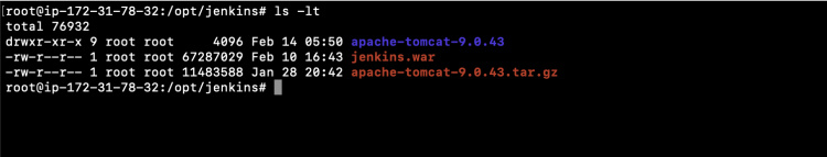 Extraer el paquete Apache-Tomcat