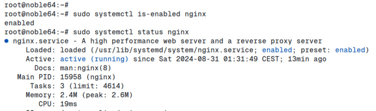 comprobar nginx