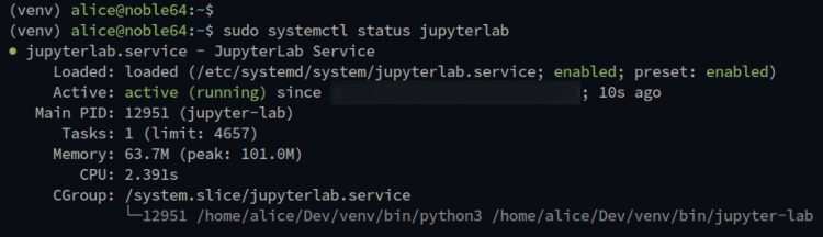 comprobar el estado de jupyter