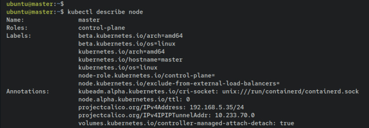 describir nodo maestro