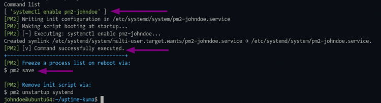 pm2 genera un archivo de servicio systemd para Uptime-Kuma
