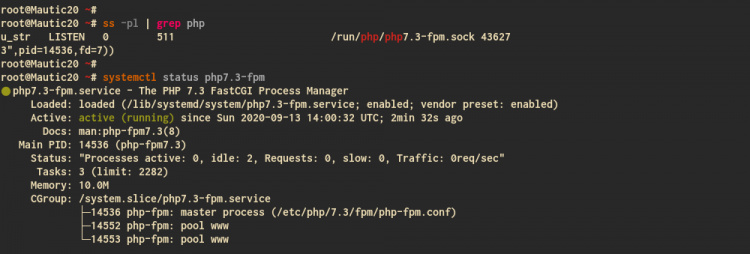 Comprobar el estado del servicio PHP-FPM