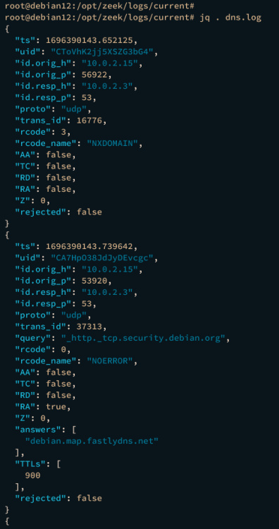 analizar el registro json