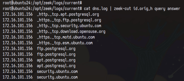 registro de zeek