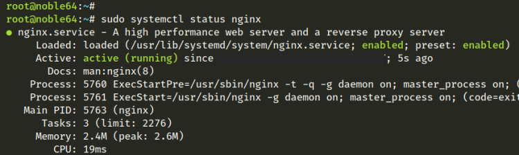 comprobar nginx