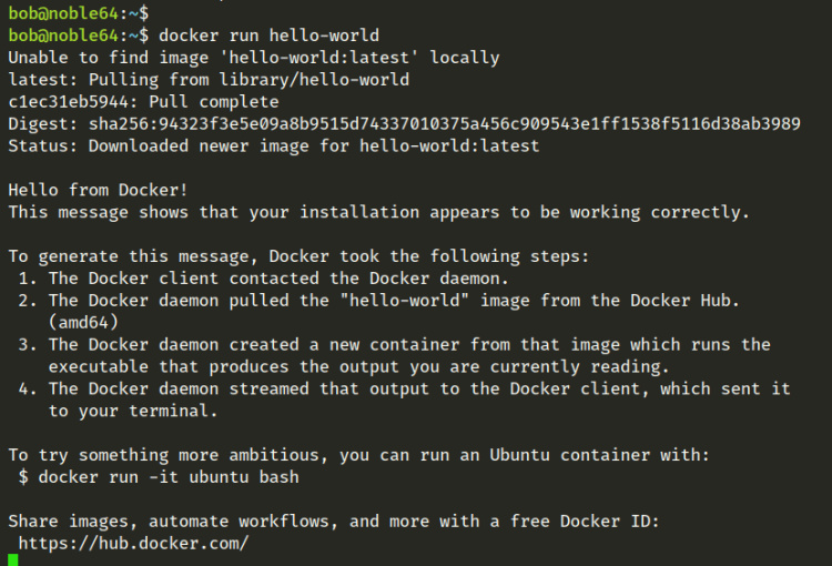 docker run hola mundo
