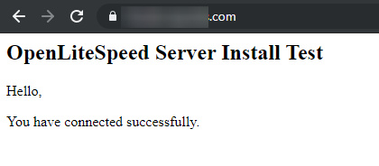 Prueba del sitio OpenLiteSpeed