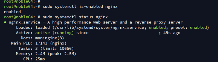 comprobar nginx