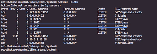 El software está escuchando en sus puertos por defecto