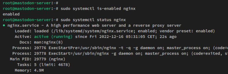 verificar nginx