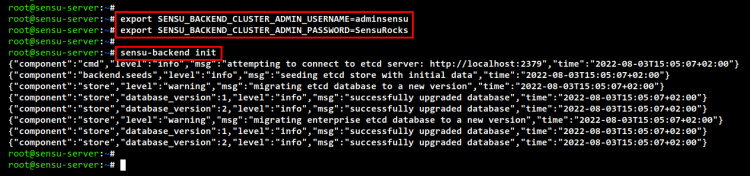 inicializar sensu backend