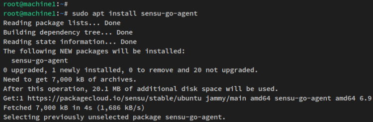 instalar sensu-agent