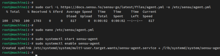 configuración e inicio del agente sensu