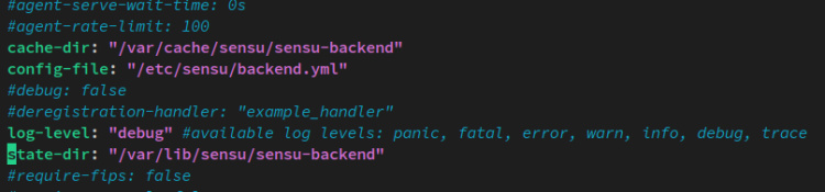 configuración de sensu go