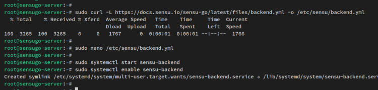 setup sensu start sensu