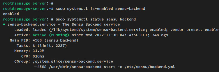 verificar el servicio sensu-backend