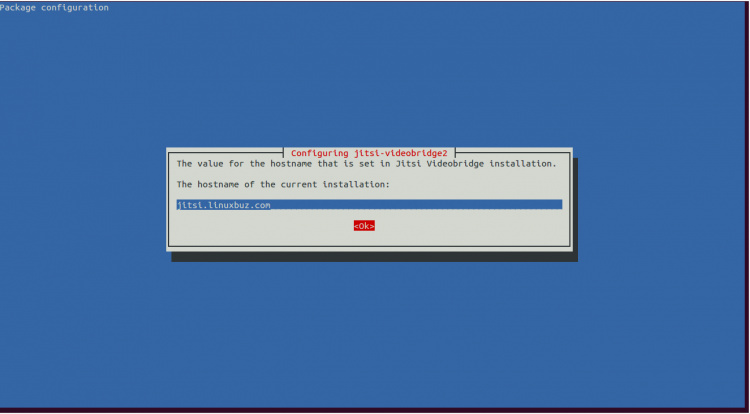 Establecer nombre de host