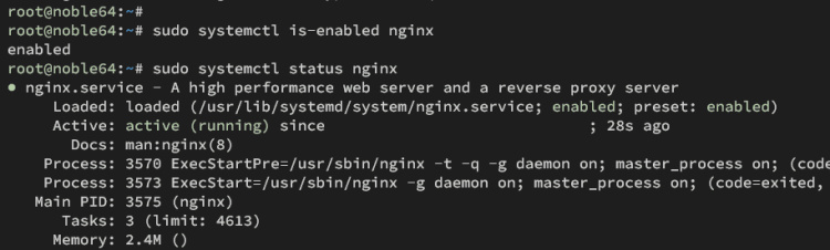 comprobar servicio nginx