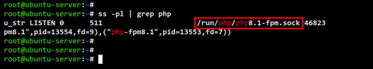 comprobar php-fpm