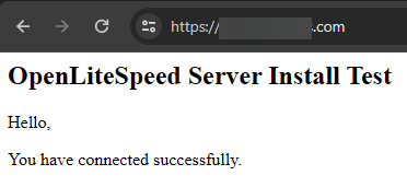 Prueba del sitio OpenLiteSpeed