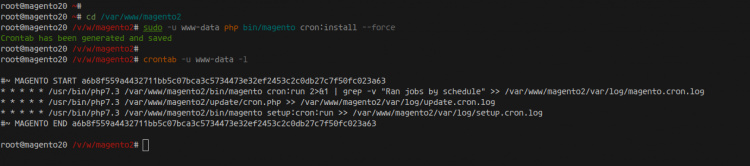 Configurar Cron de Magento y eliminar el permiso de escritura