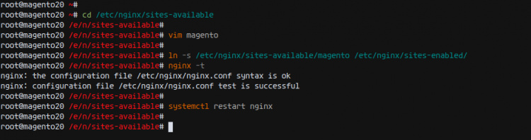 Configurar Nginx virtualhost para Magento