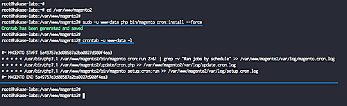 Configurar el cronjob del indexador de Magento